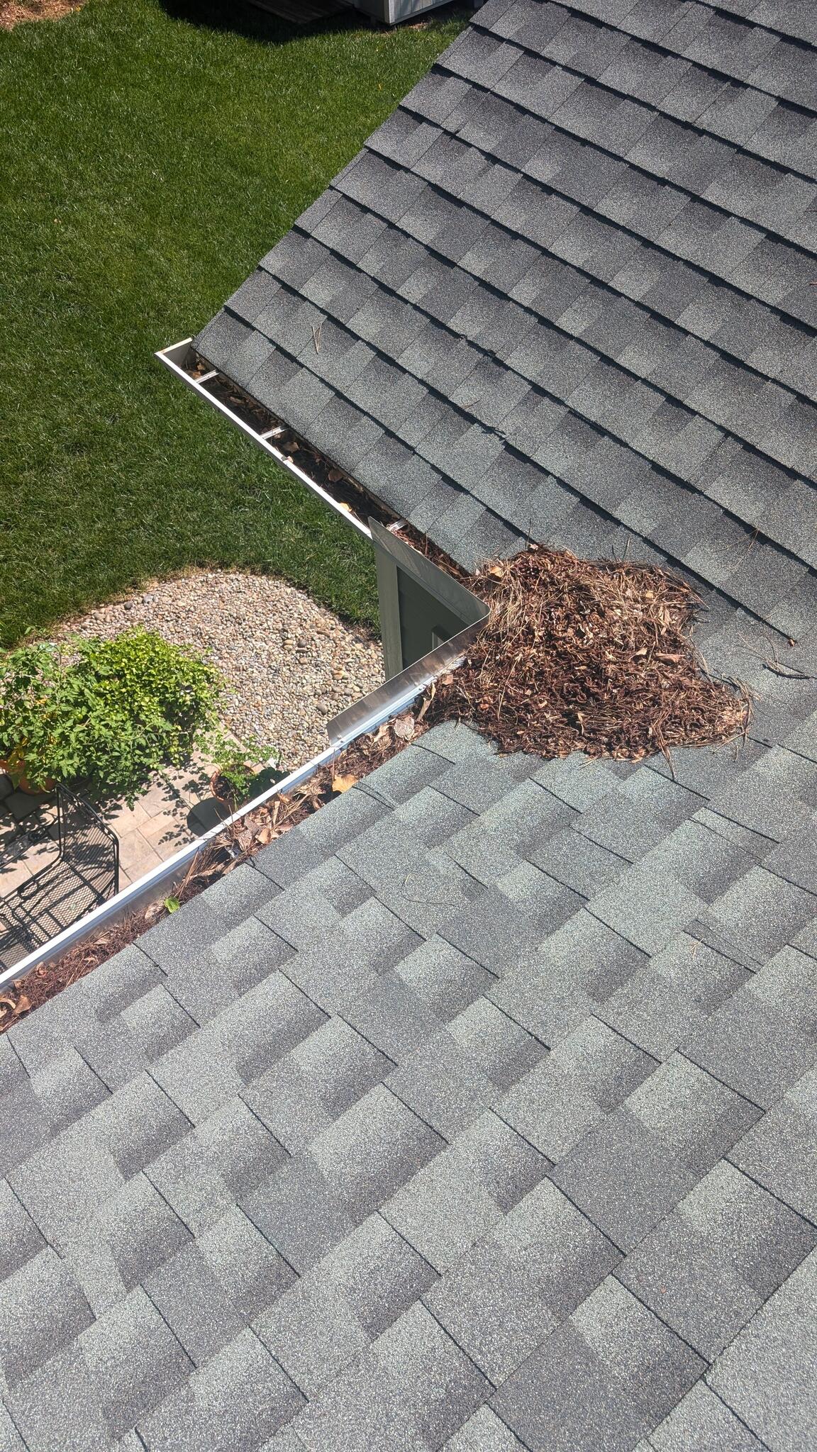 Gutter Cleaning Service
