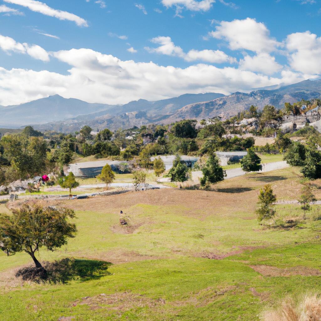 Pantera Park, Diamond Bar | Everything You Need to Know