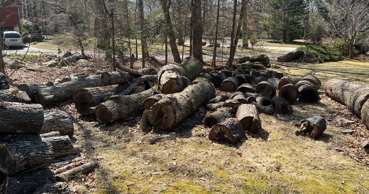 Firewood for Free in Tolland, CT Finds — Nextdoor