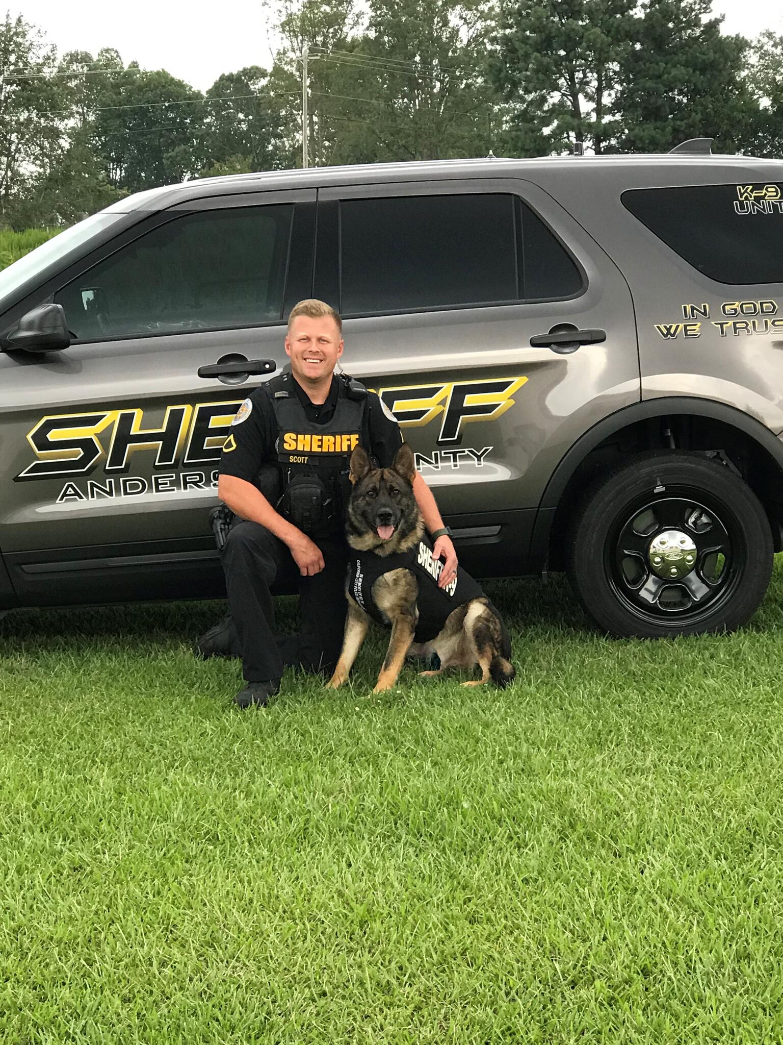 Anderson County Sheriff's Office K9's Face & Sandro have received body  armor (Anderson County Sheriff's Office) — Nextdoor — Nextdoor