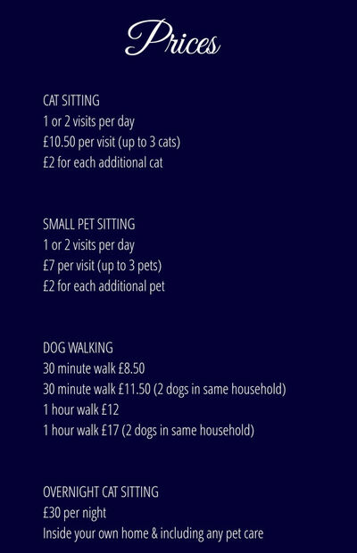 House Salon The Dog House And Cats Too House Pet Sitter Near