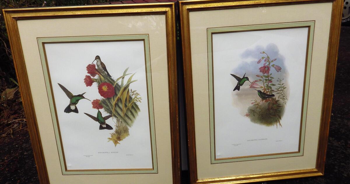 Pair of Framed Hummingbird Lithographs by Gould & Richter; Hullmandel ...