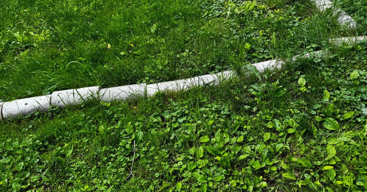 free-for-free-in-madison-wi-for-sale-free-nextdoor