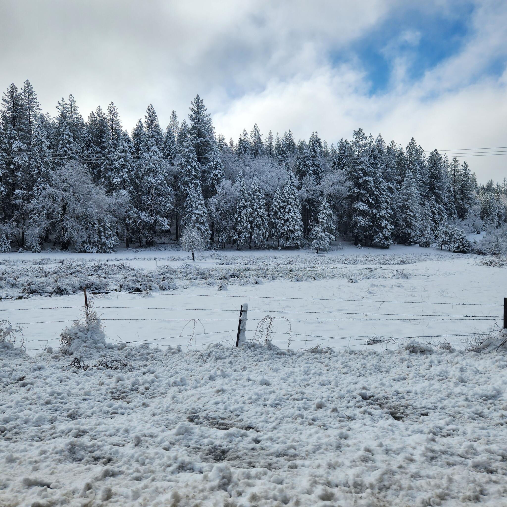 Home Rental for 2400 in Pioneer, CA For Sale & Free — Nextdoor