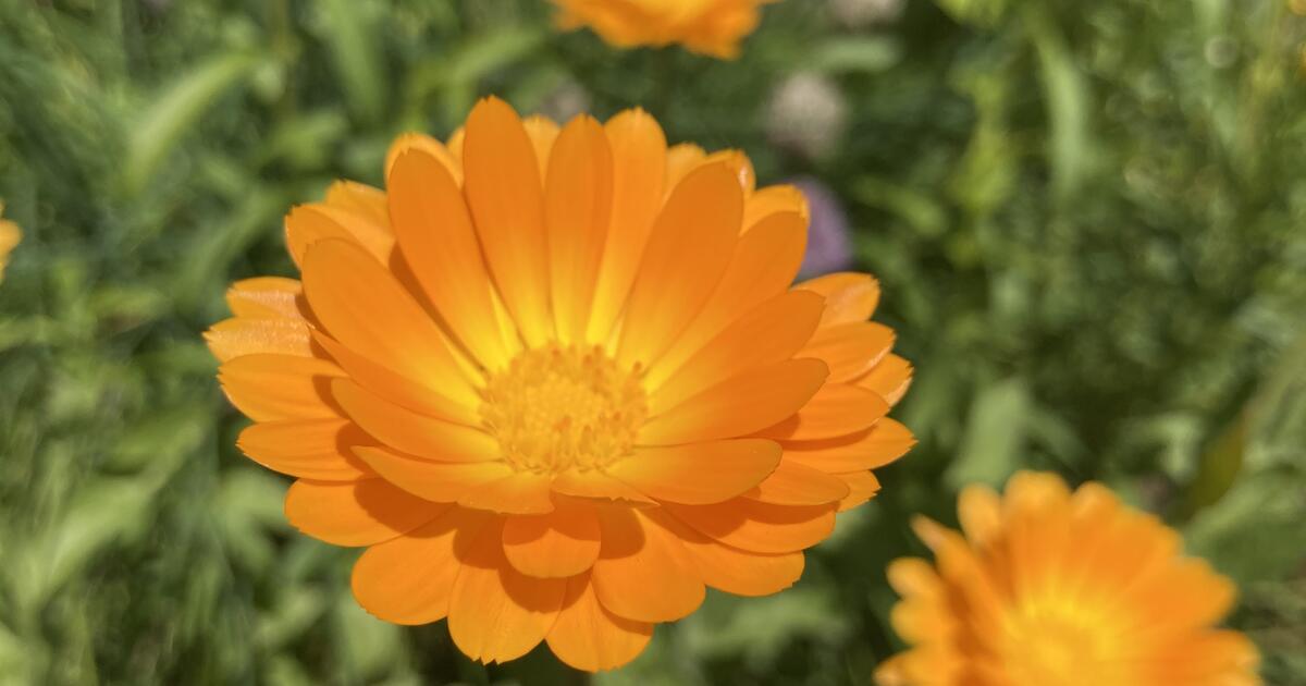 Garage Sale! 723 Old Wagon Lane....Warrren/Howland in Hood River, OR