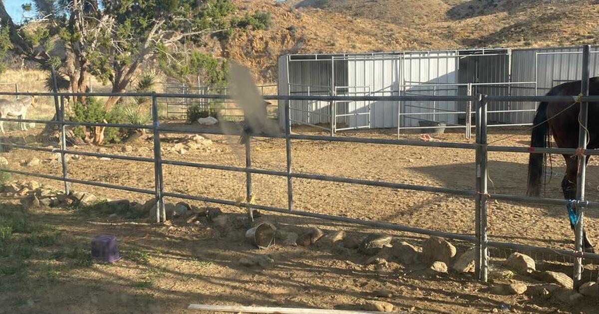Horse shelter and rail for 1 in Littlerock, CA For Sale & Free