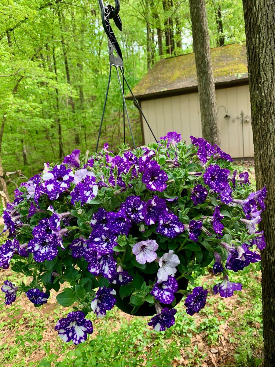 ProTech Farm & Nursery - Barboursville, VA - Nextdoor