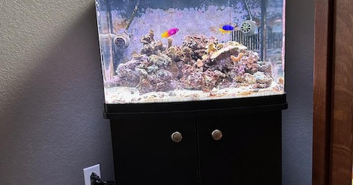 28 gallon Coralife Biocube for $200 in Castle Pines, CO | For Sale ...