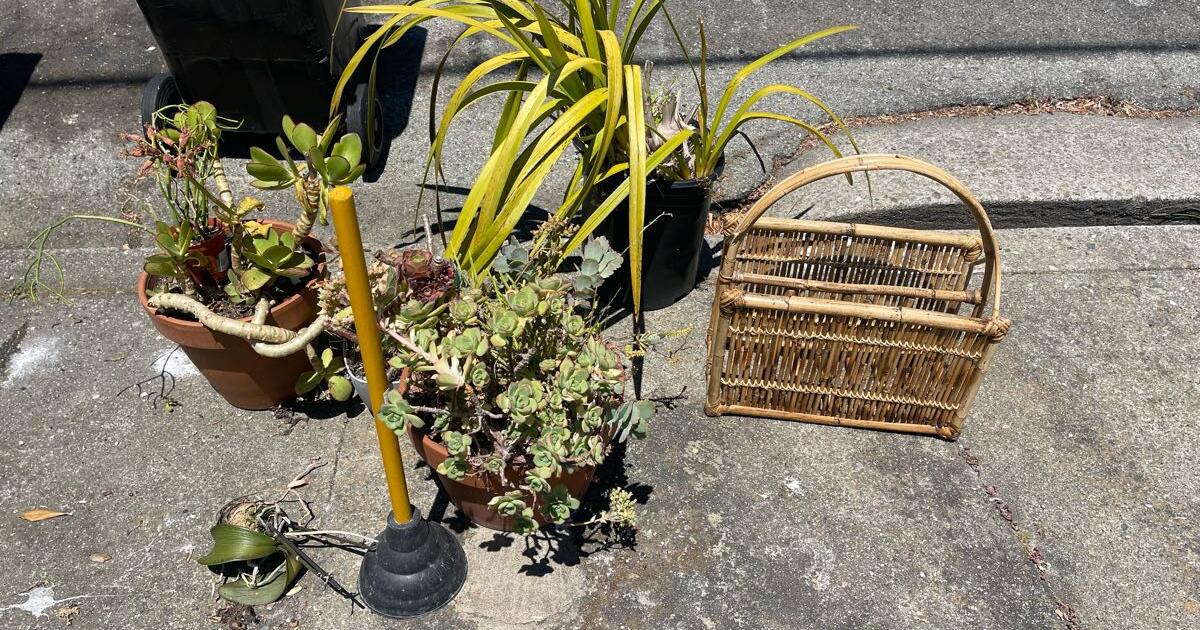 Free stuff - curb alert for Free in Richmond, CA | For Sale & Free ...