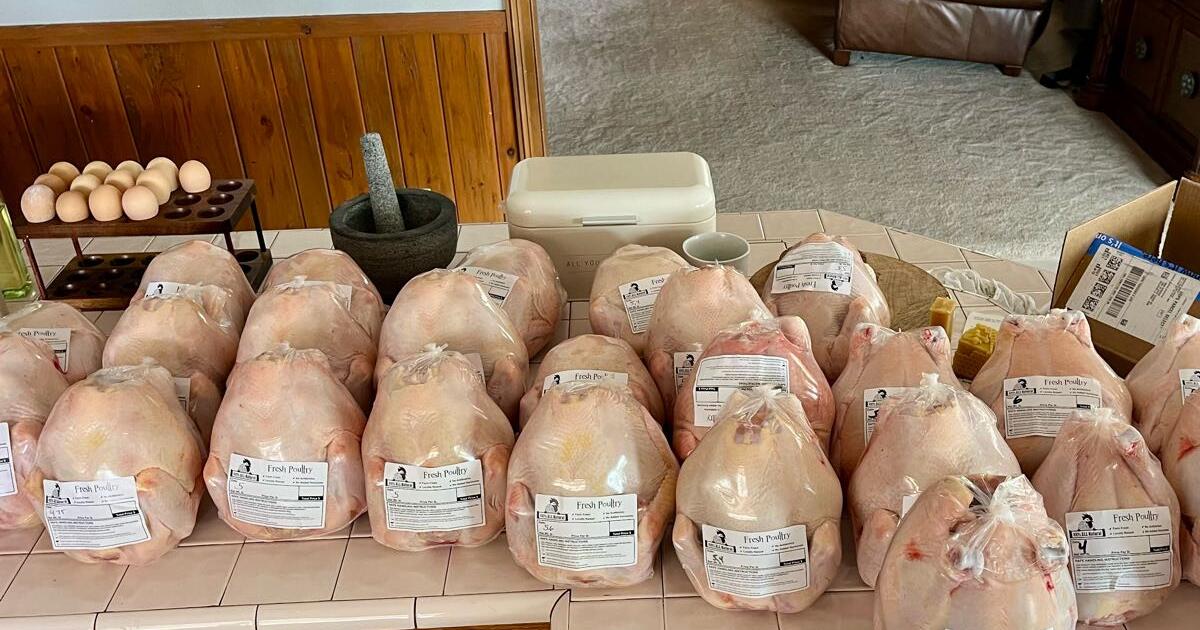 Fresh Pasture Raised Chickens for 20 in Sulphur, LA For Sale & Free