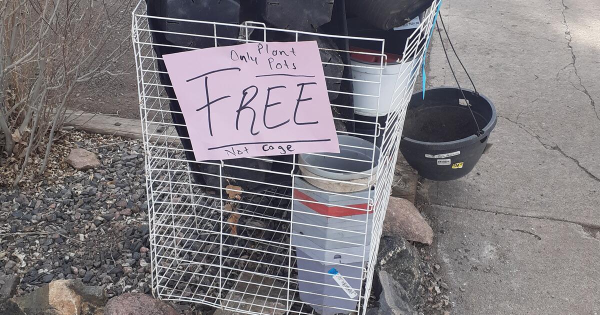 FREE PLANT POTS!!! for Free in Denver, CO Finds — Nextdoor