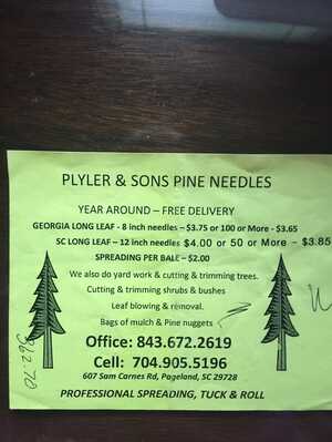 Long Leaf Pine Needles Delivered & Spread