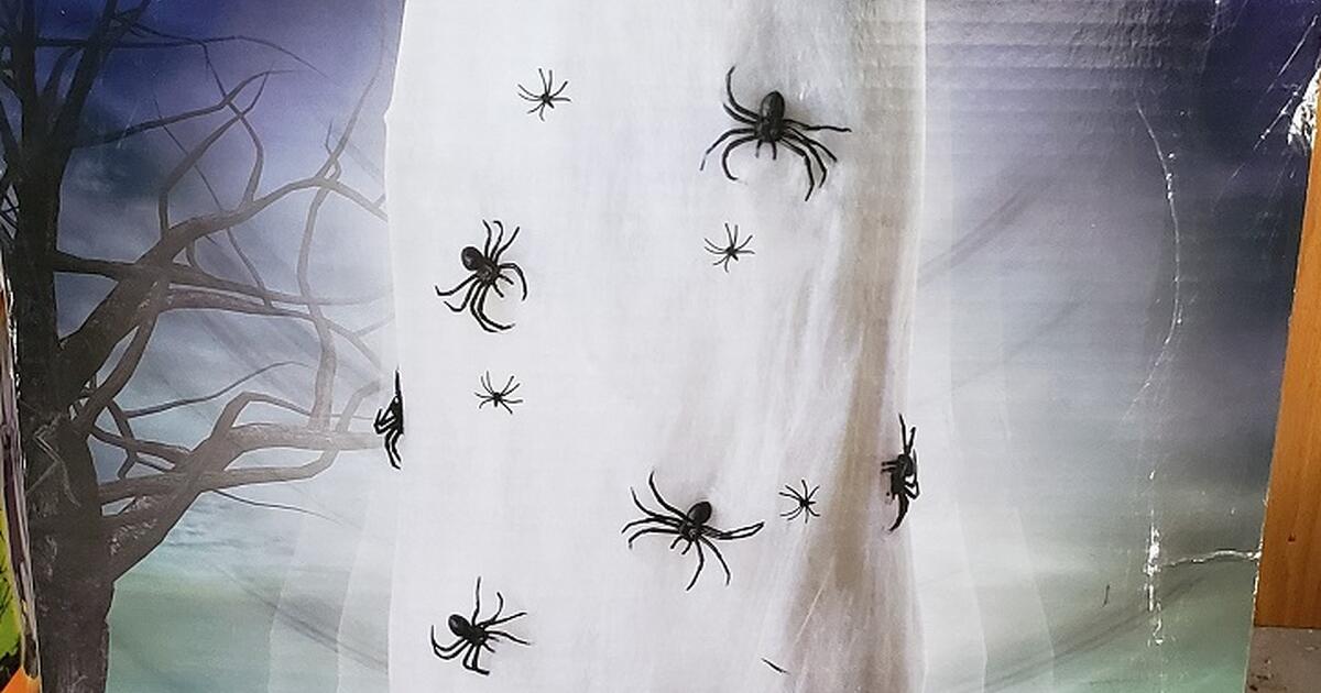 Halloween Yard Sale 10/23/22 10 3 for 1 in Silver Spring, MD For