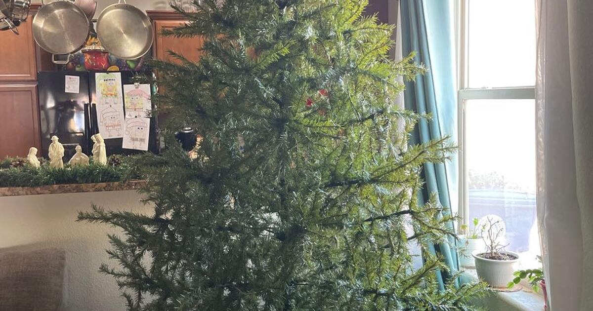 FREE 9ft Christmas Tree (Must Pickup) for Free in Albuquerque, NM