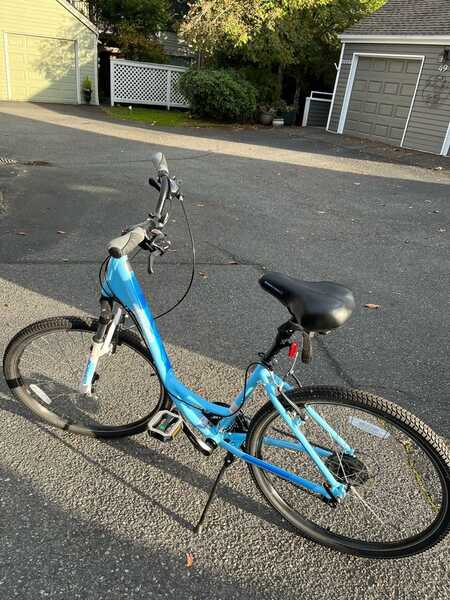 Schwinn fordham shop