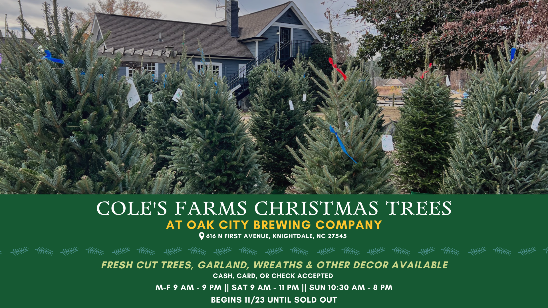 Cole's Farms Christmas Tree Lot @ Oak City