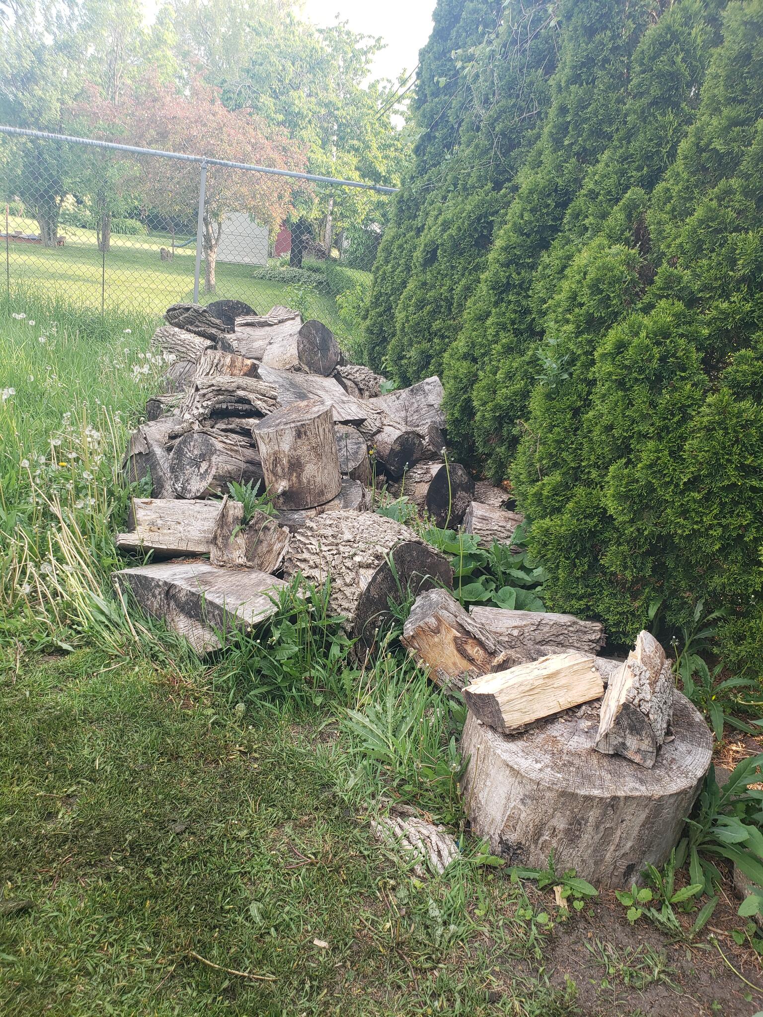 Free wood for Free in Milwaukee, WI For Sale & Free — Nextdoor