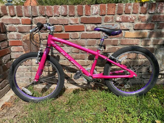 Pink Raleigh Lily 24\