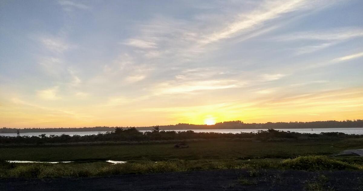 Recycle your piled up cans and bottles with me for Free in Coos Bay, OR