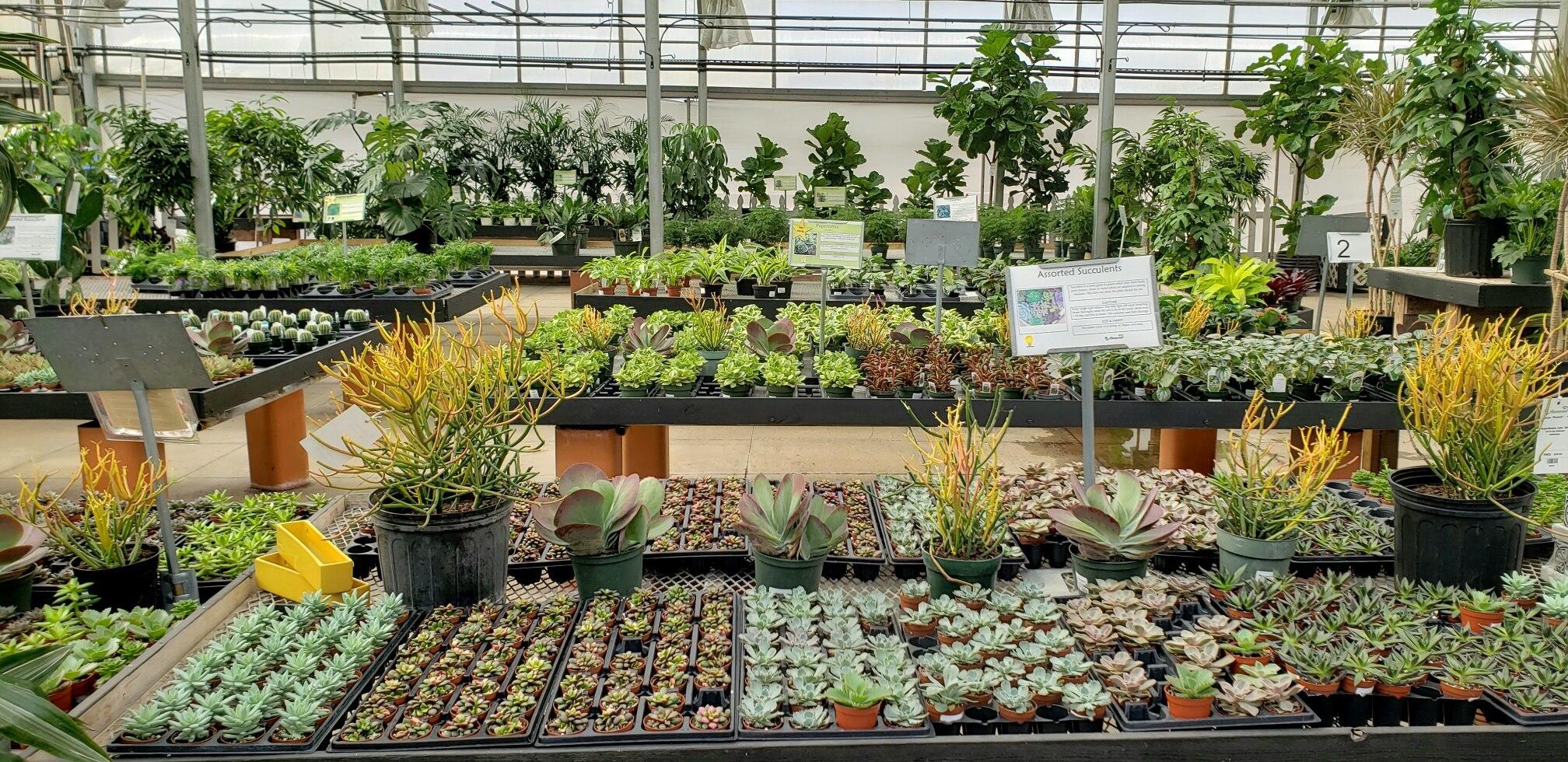 Homewood Nursery - Raleigh, NC - Nextdoor