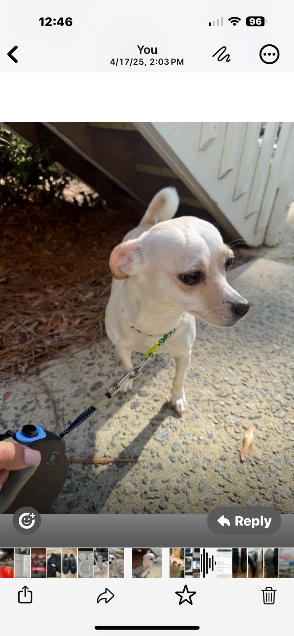 Bryant Lane, Marietta Trick or Treat Map and Everything You Need - Main Image