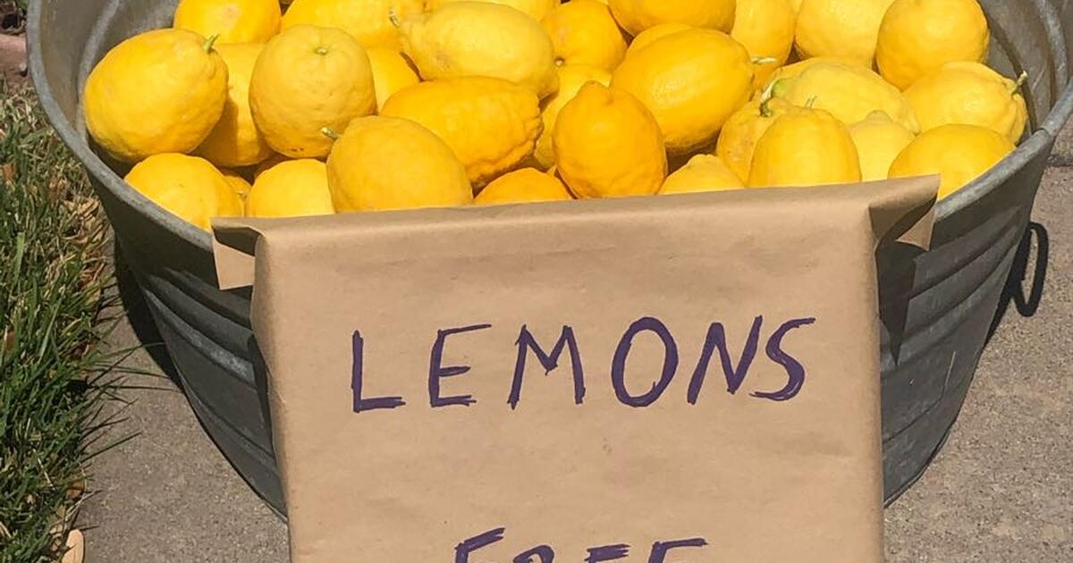 gone-tonight-will-cut-some-more-tomorrow-free-lemons-for-free-in-el