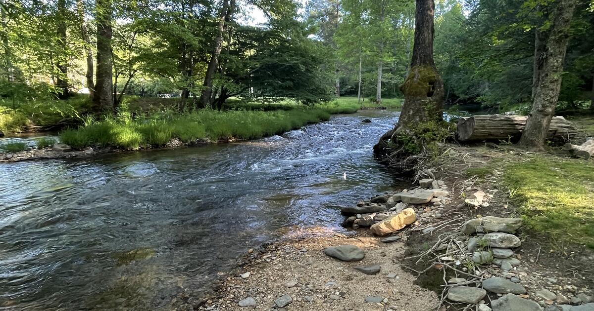 For rent nightly Turkey Trot Cabin on Cooper's Creek Trout Stream in