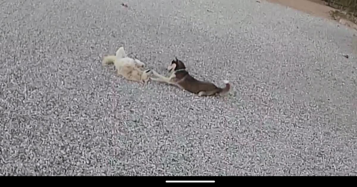 Free Gravel for Free in Yucca Valley, CA For Sale & Free — Nextdoor