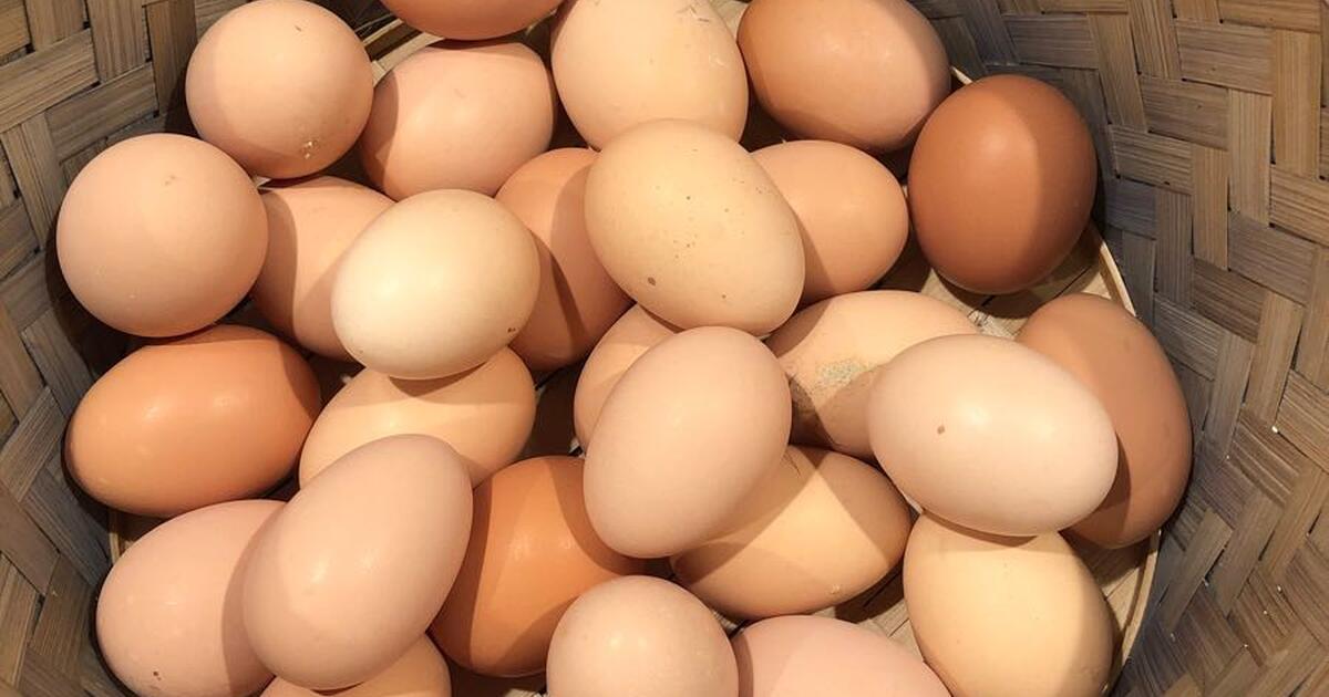 Fresh eggs for 3 in Tucson, AZ Finds — Nextdoor