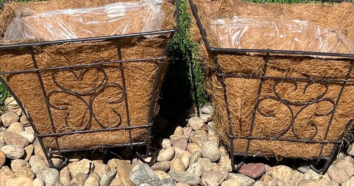 Flower pots free for Free in Littleton, CO For Sale & Free — Nextdoor