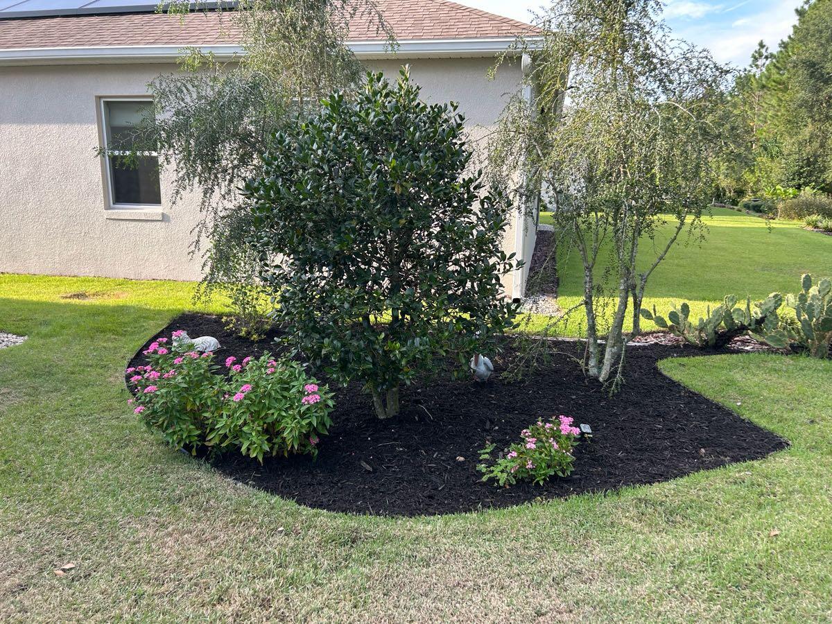 Landscape and Concrete for Free in Eustis, FL For Sale & Free — Nextdoor