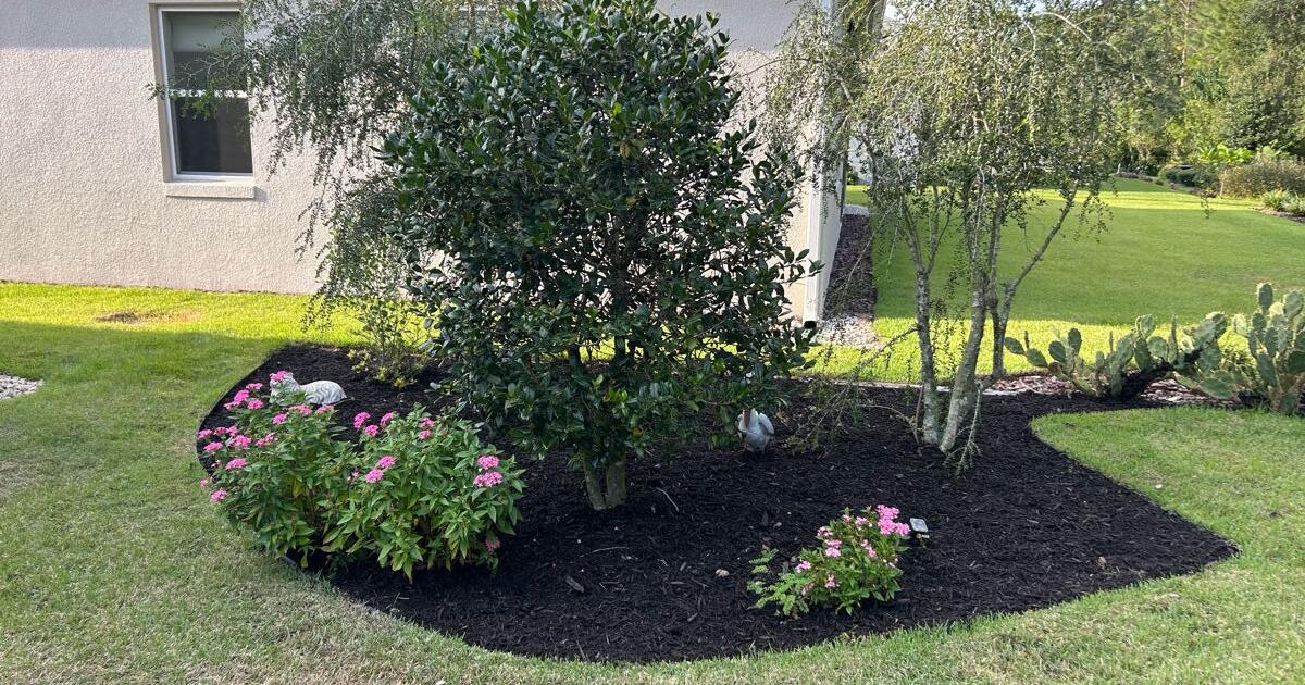 Landscape and Concrete for Free in Eustis, FL For Sale & Free — Nextdoor