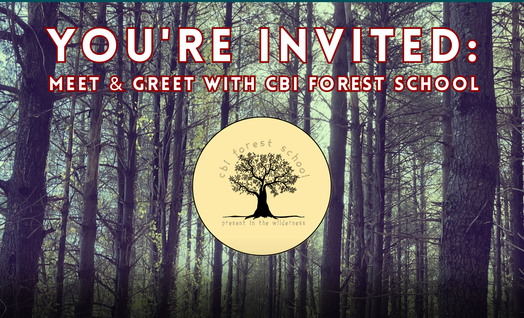 Photo on the author's post