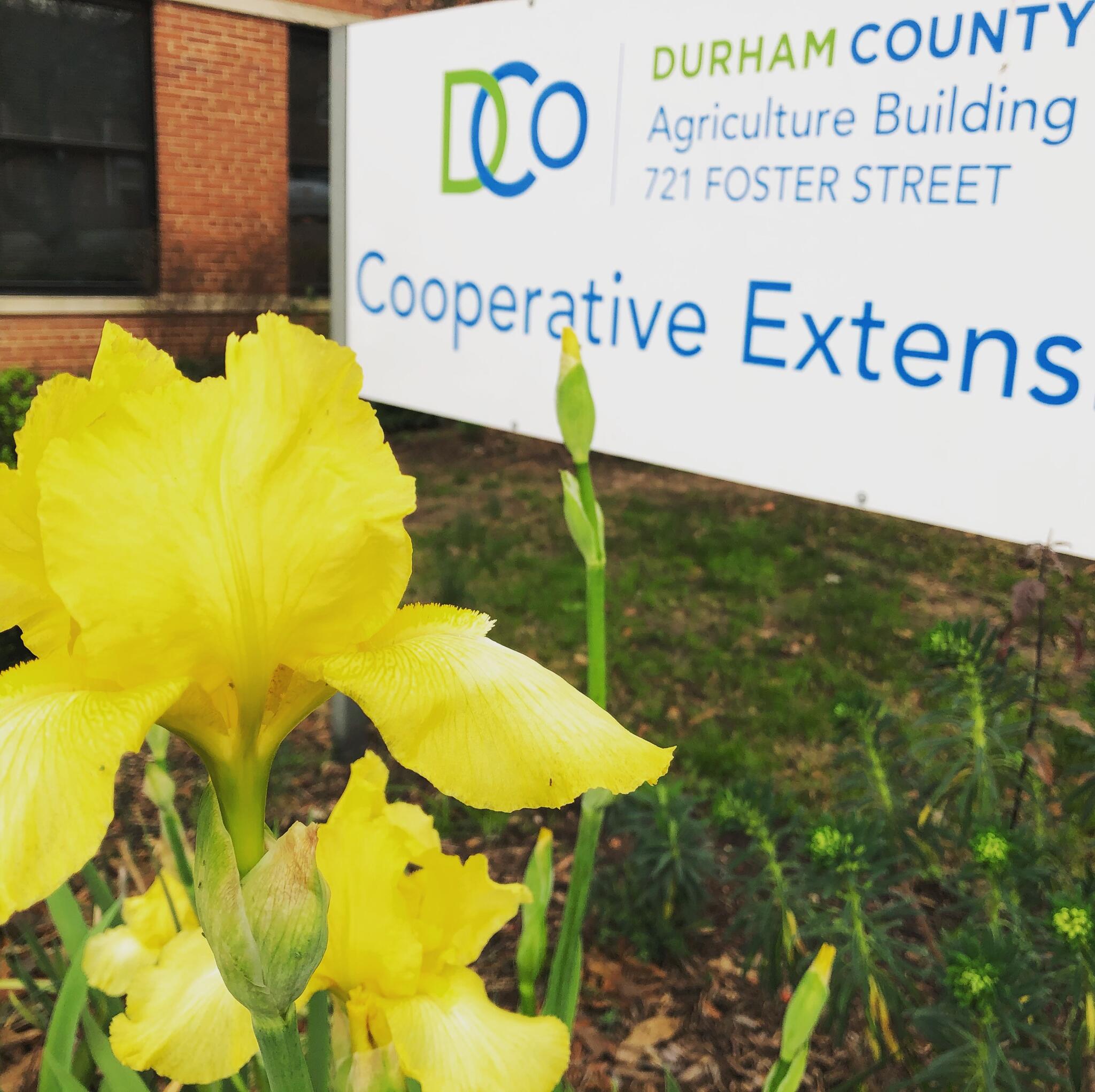 Durham County Cooperative Extension Begins Reopening To Public On June