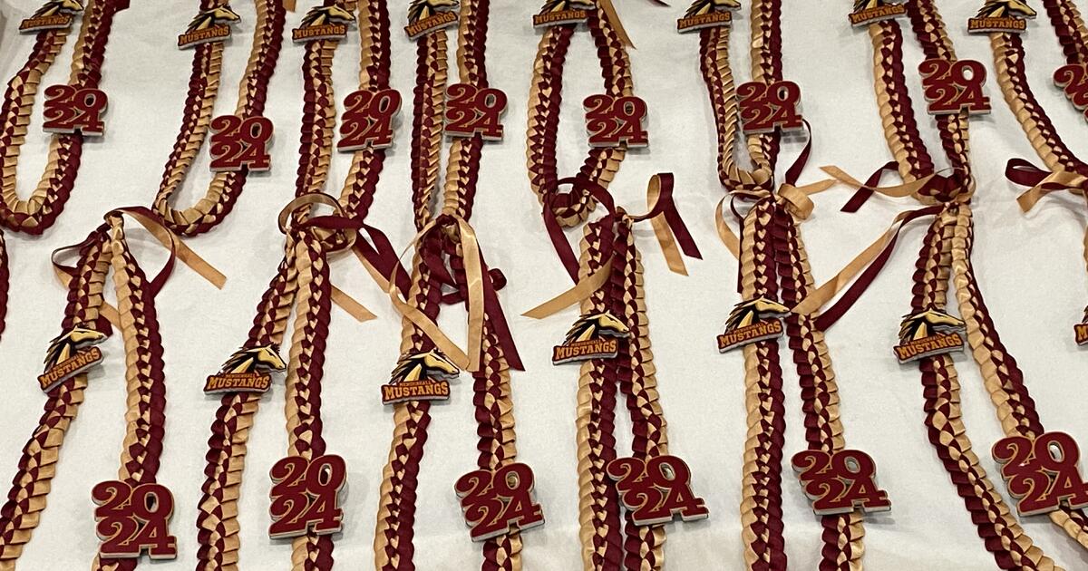 Garage sale Saturday 3/16 for 5 in Livermore, CA For Sale & Free — Nextdoor