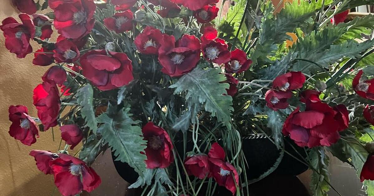 Flowers for 5 in Kissimmee, FL Finds — Nextdoor
