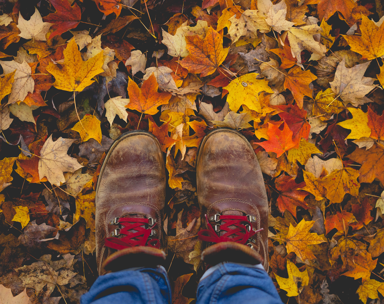 Consider paper bags or reusable containers for leaf season this year - The  City of Asheville