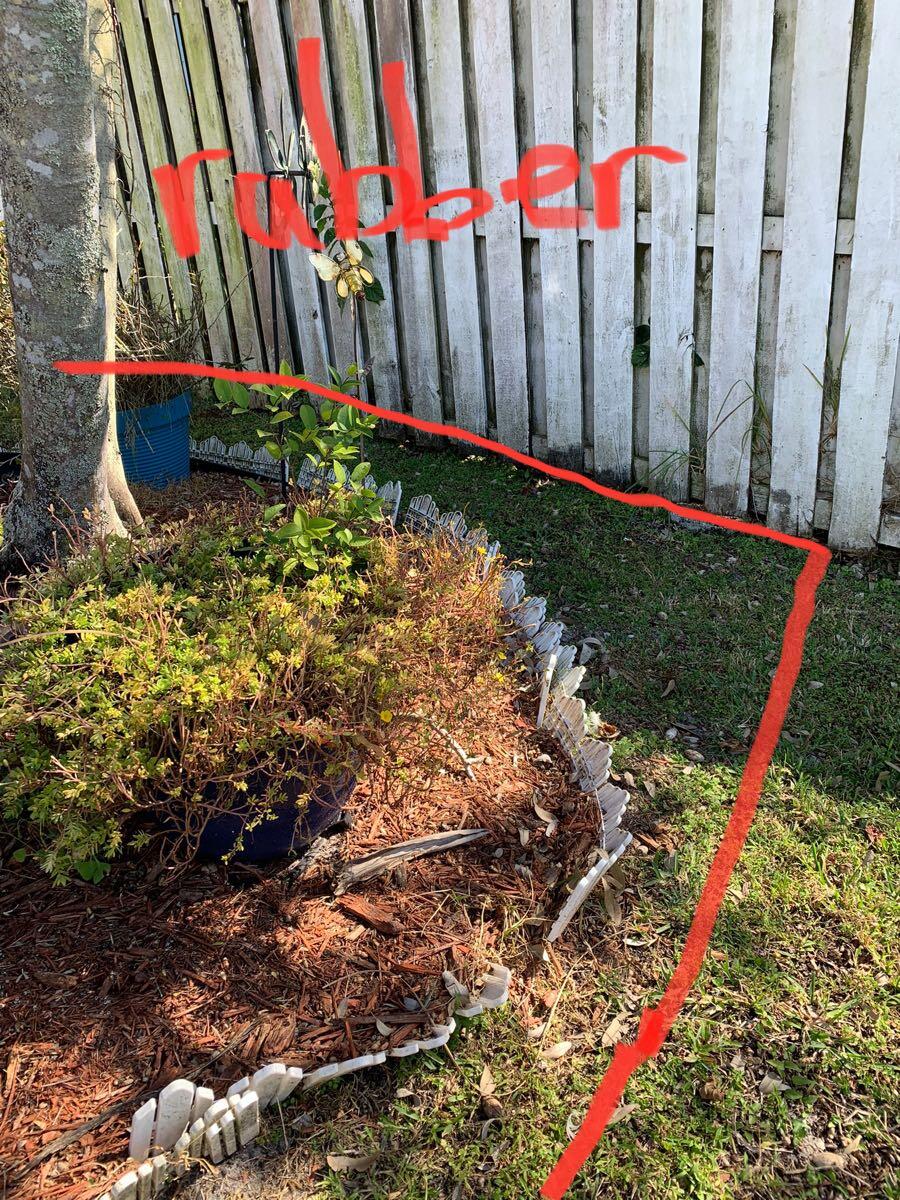 Bamboo And Orchid Gardens Davie Fl | Fasci Garden