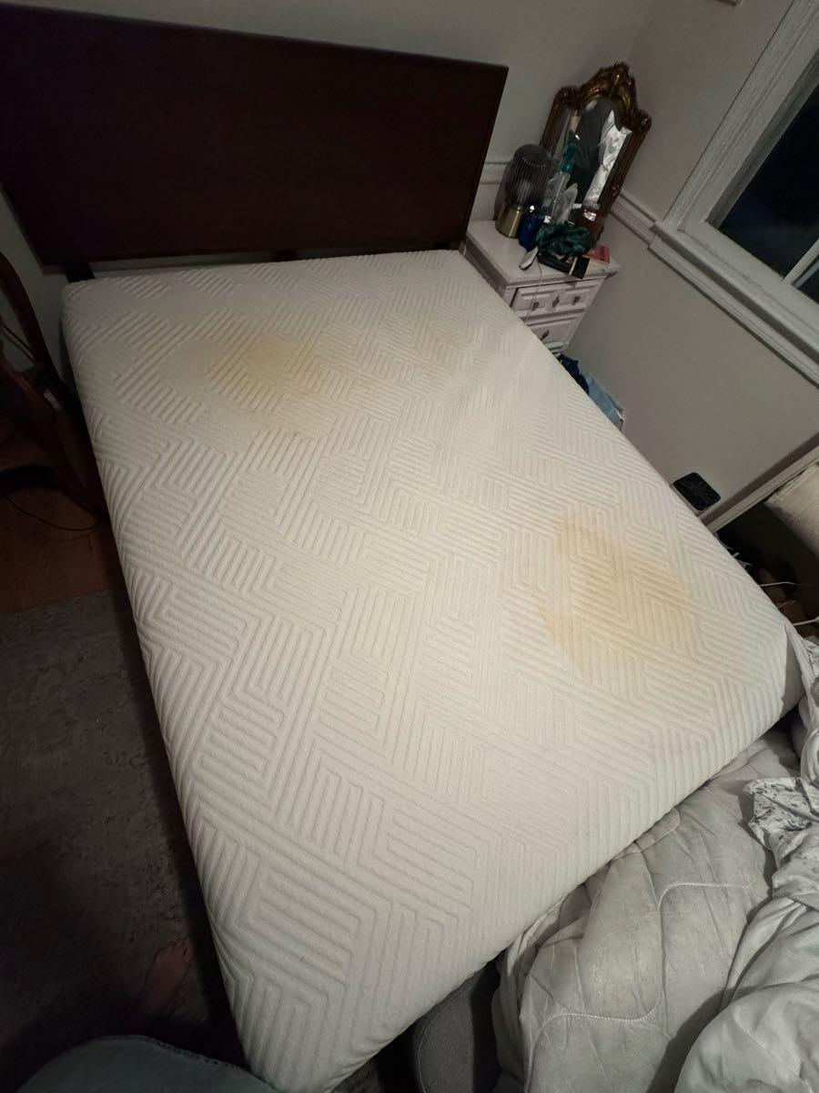 Day Bed with Mattress for 150 in Washington, DC For Sale & Free