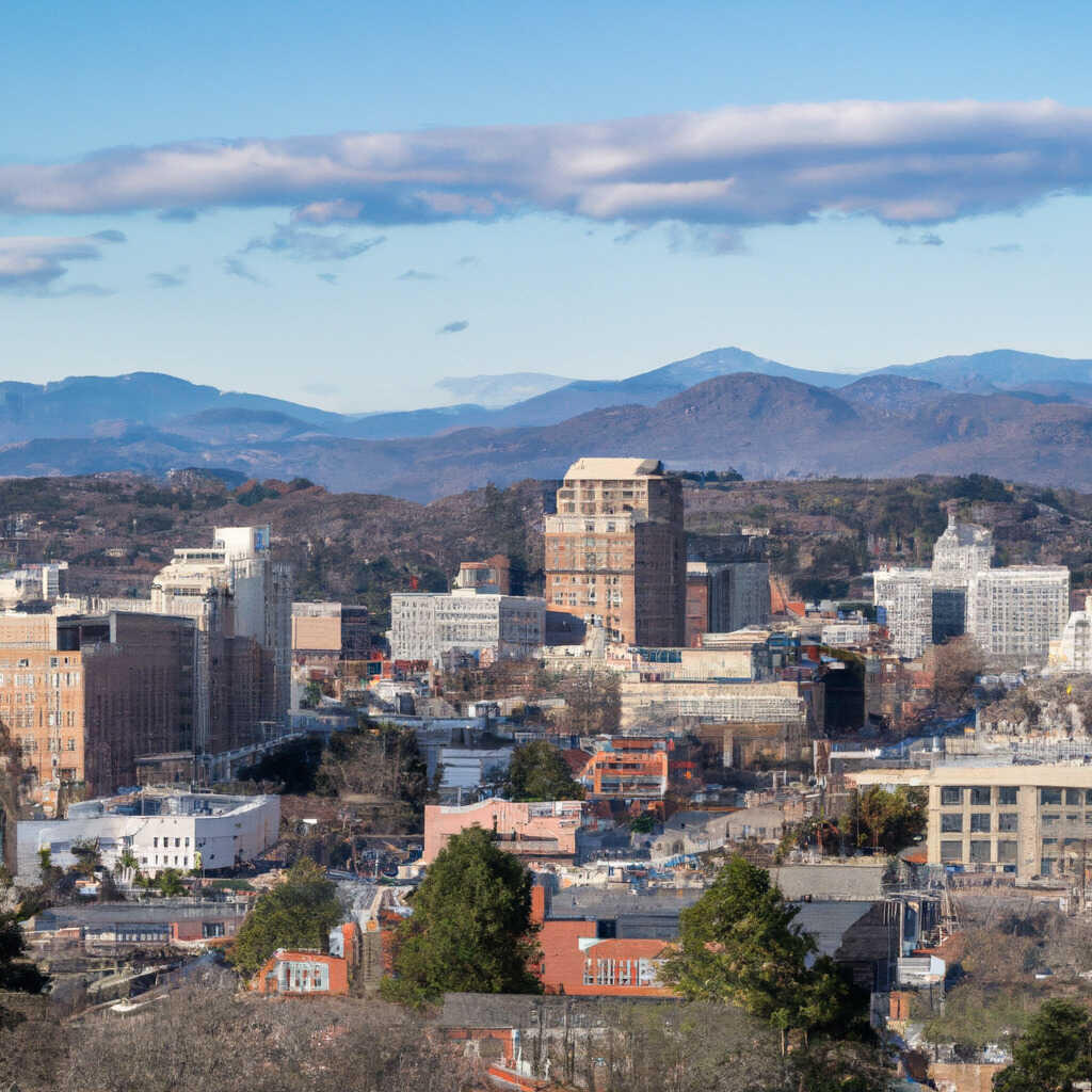 Burton Street Asheville News Crime Lost Pets Free Stuff