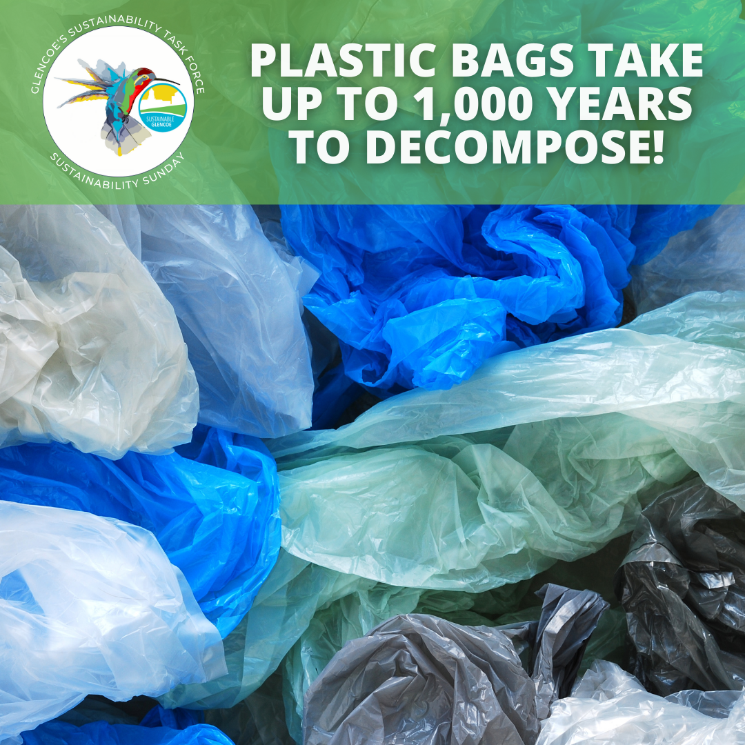It can take up to 1,000 years for a plastic bag to biodegrade and when