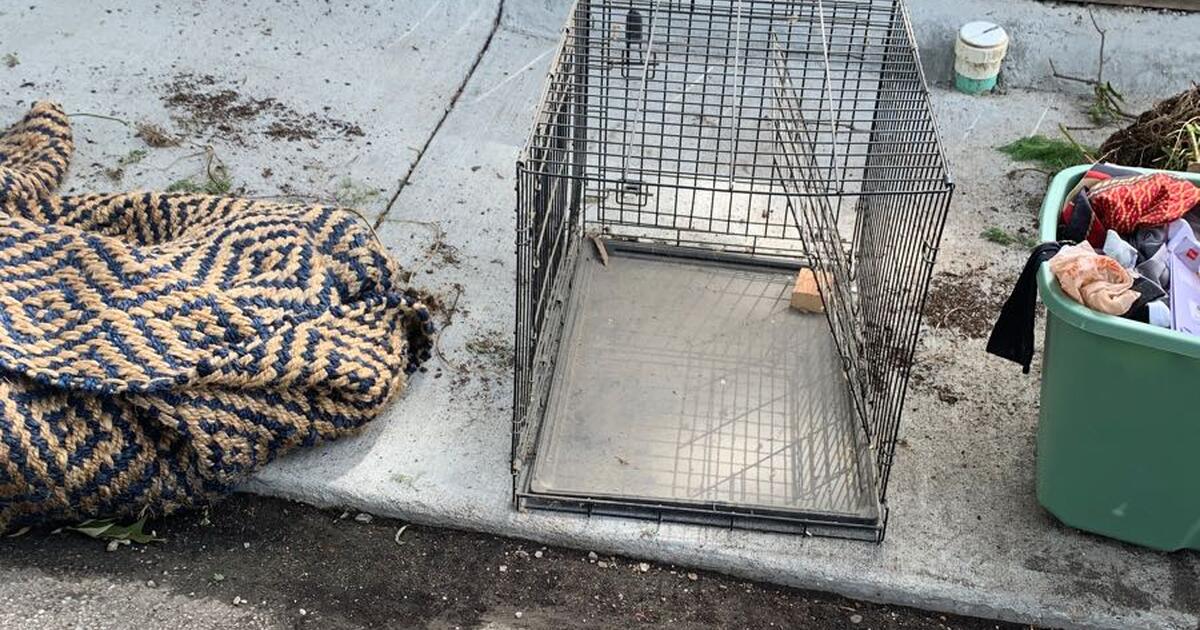 Dog kennel for Free in Memphis, TN For Sale & Free — Nextdoor