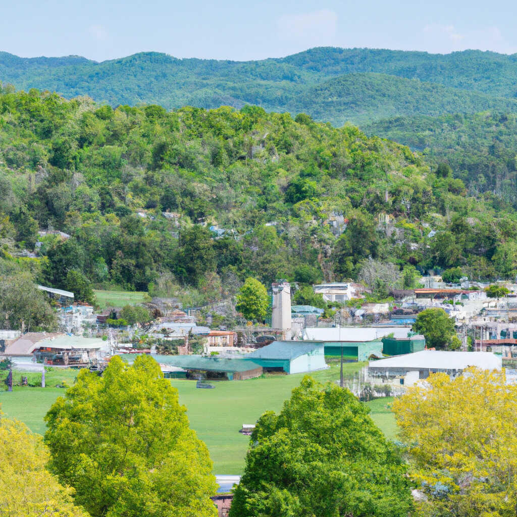 Lake Martin Jacksons Gap, Jacksons Gap News, Crime, Lost Pets, Free Stuff