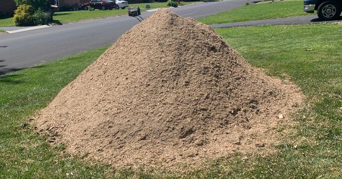 Tree stump mulch for Free in Millersville, PA Finds — Nextdoor