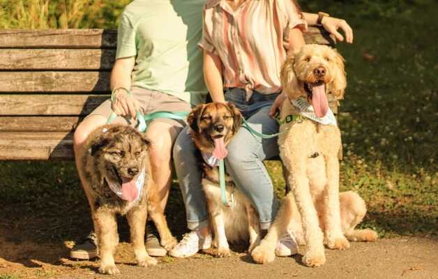 Affordable pet deals care broken arrow