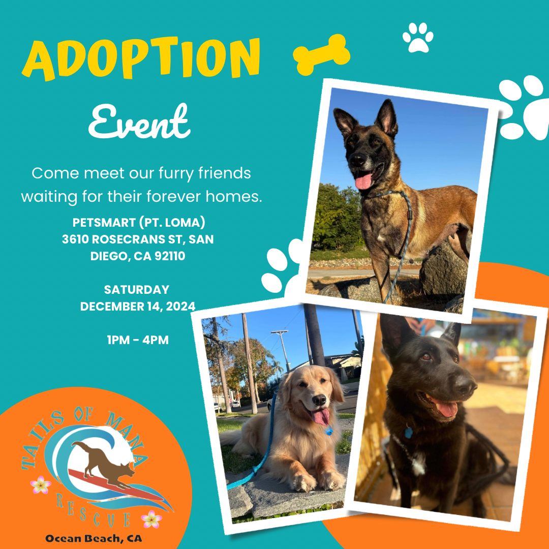 Pet Adoptions Free Adoption Weekend Near Me Dog Adoptions Petsmart