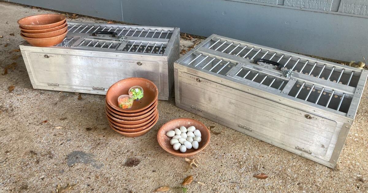 Pigeon training baskets for 160 in Huntsville, AL Finds — Nextdoor