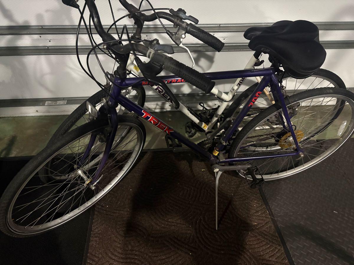 vintage giant bicycles 1998 Giant Iguana MTB Bike Large 18" Hardtail Chromoly Steel Shimano STX  ShipsUS