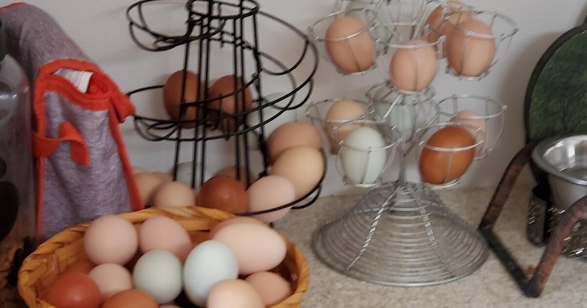 Fresh eggs for 5 in Tucson, AZ For Sale & Free — Nextdoor