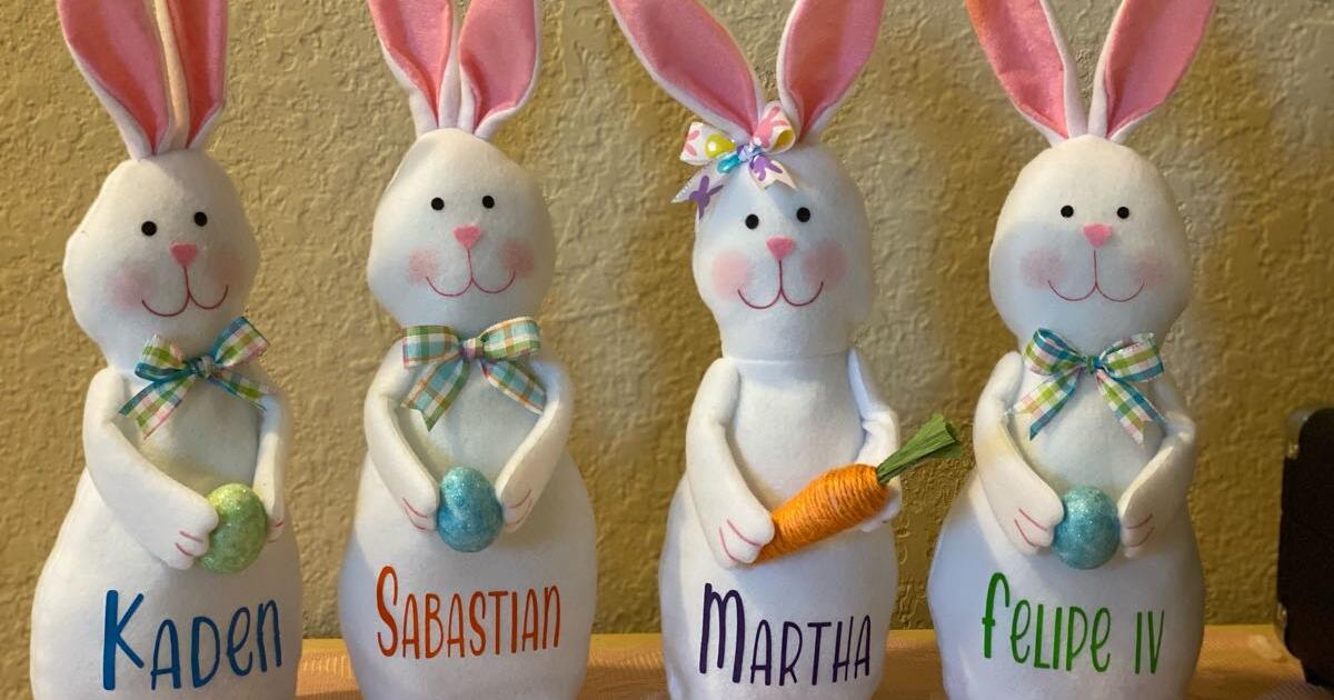 Easter Bunnies for 8 in San Antonio, TX Finds — Nextdoor